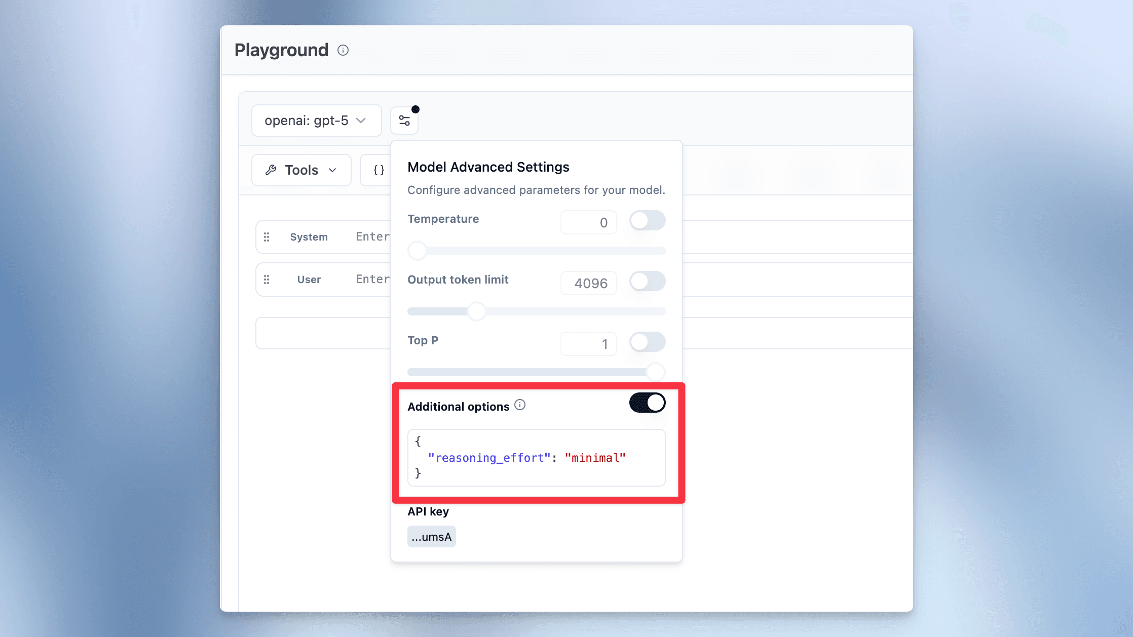 Additional provider options in LLM calls in playground and evals